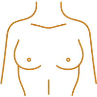 Icono Implantes Mamarios